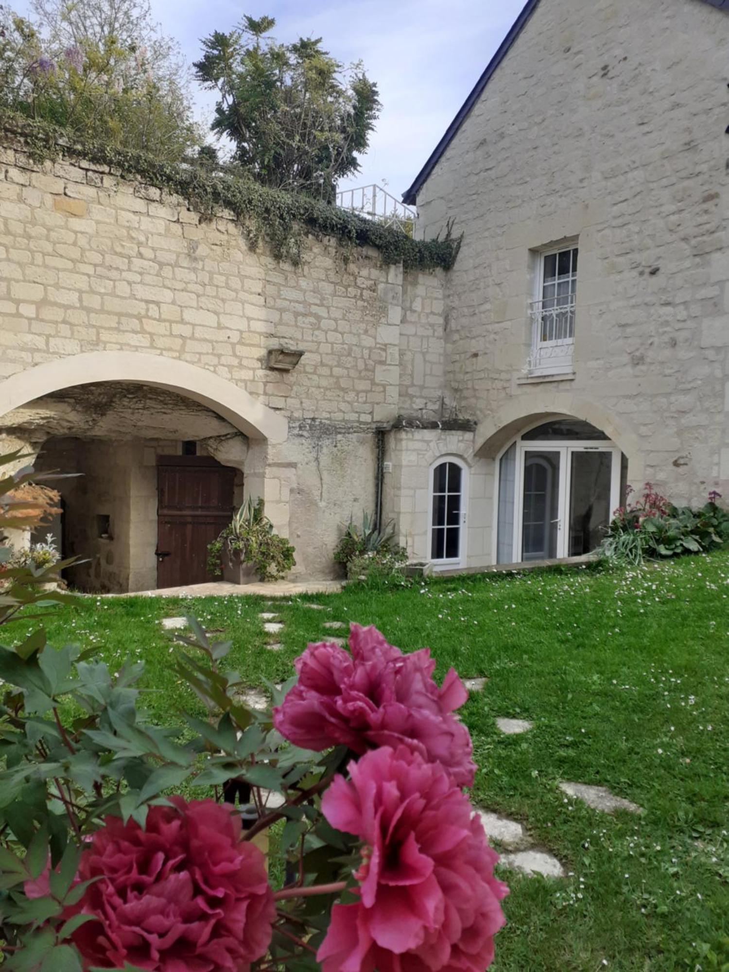 Villa Esprit Troglo Beaumont-en-Véron Esterno foto