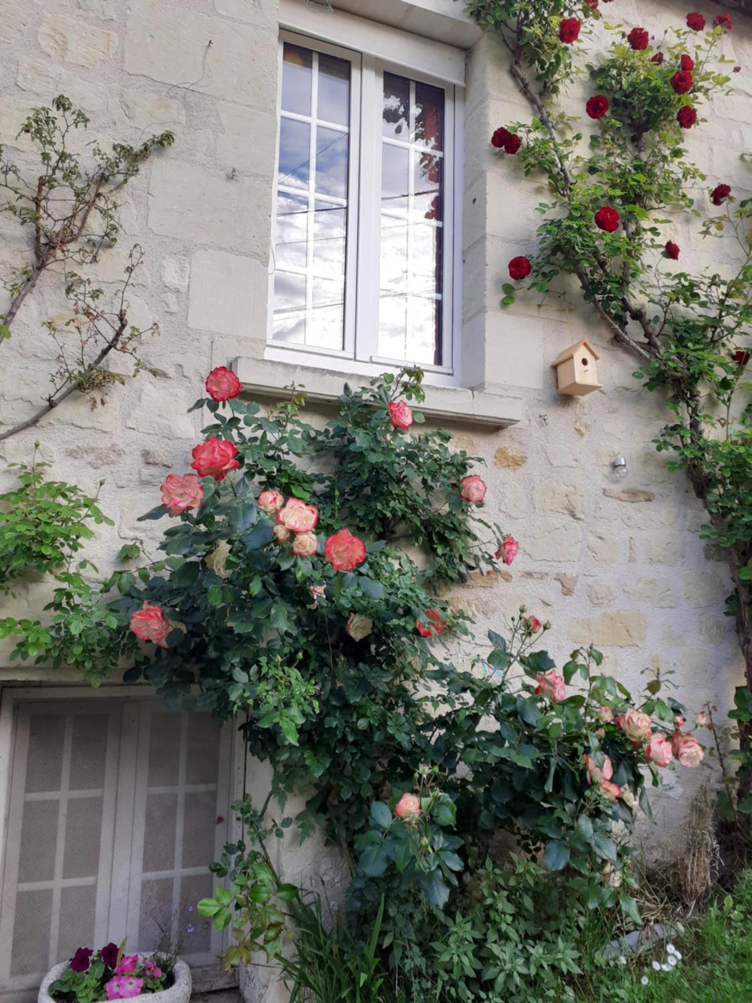 Villa Esprit Troglo Beaumont-en-Véron Esterno foto