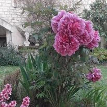 Villa Esprit Troglo Beaumont-en-Véron Esterno foto